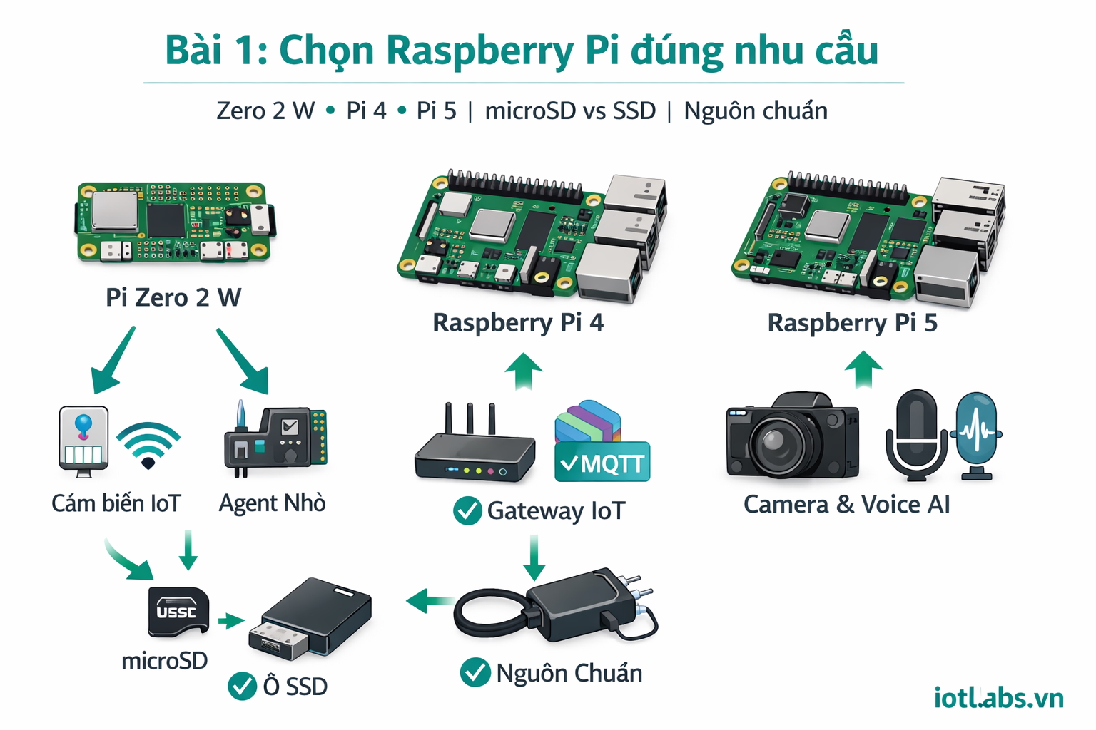 Series: Lập trình Raspberry Pi – Bài 1: Chọn Raspberry Pi đúng nhu cầu (Zero 2 W vs Pi 4/5, SD vs SSD, nguồn chuẩn)