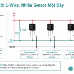 Series 37 Module Cảm Biến – Nguyên Lý Hoạt Động DS18B20: Cảm Biến Nhiệt Độ 1-Wire Chống Nước