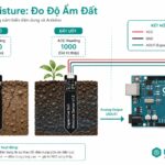 Series 37 Module Cảm Biến – Nguyên Lý Hoạt Động Soil Moisture Sensor: Điện Trở Đất, Hiệu Chỉnh & Tưới Cây Tự Động