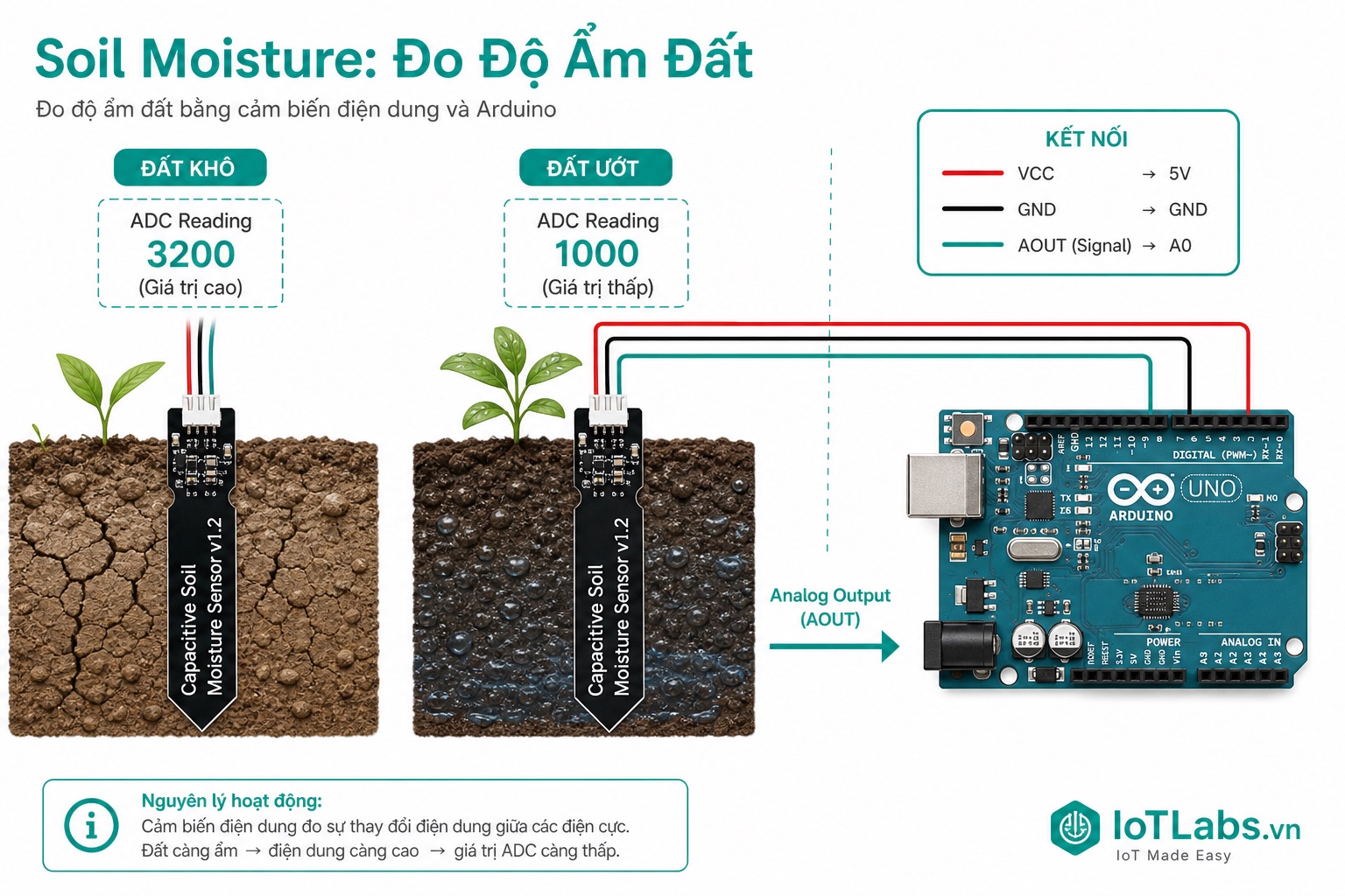 Series 37 Module Cảm Biến – Nguyên Lý Hoạt Động Soil Moisture Sensor: Điện Trở Đất, Hiệu Chỉnh & Tưới Cây Tự Động