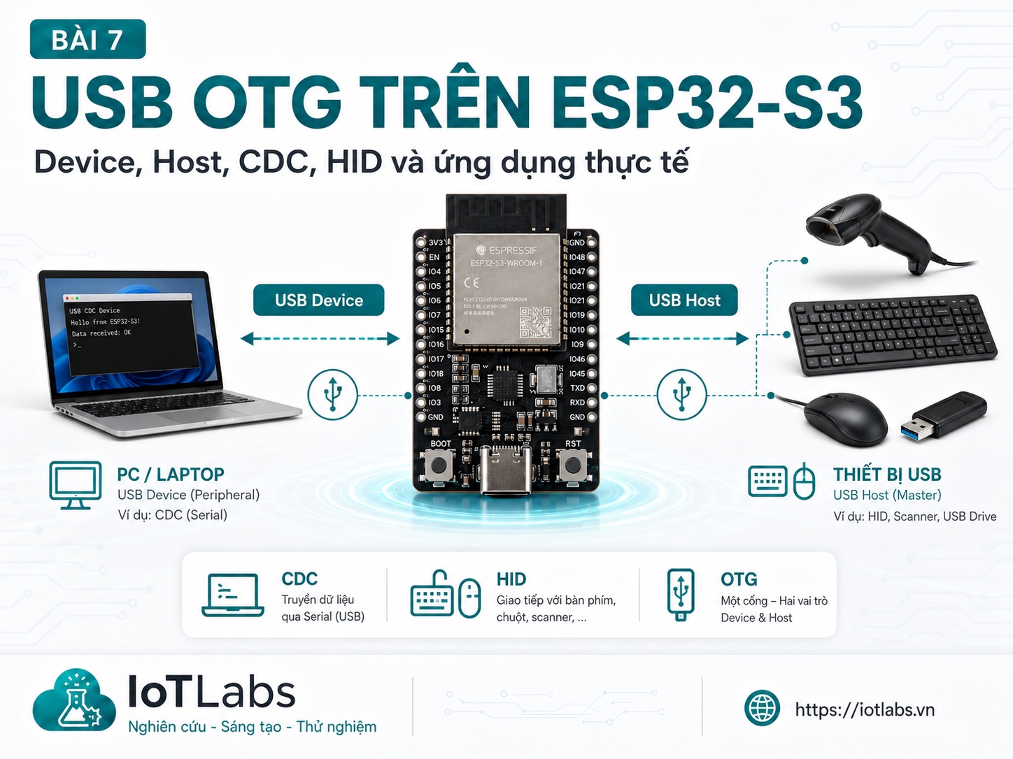 Series ESP32-S3 Dual-Core – Bài 7: USB OTG – Device, Host, CDC, HID